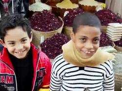 MS Two smiling Egyptian boys in front of several baskets of Hibiscus flowers / Aswan, Egypt Stock Footage