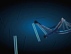 HALF-BAKED DOUBLE-SPIRAL STRUCTURE Stock Footage