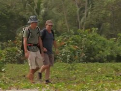 MS TS Travelers walking by tropical forest / Tyrona N. Park, Magdalena, Colombia  Stock Footage