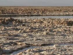 WS PAN View of Salt deposits by high altitude salt lake with Flamingos / San Pedro de Atacama, Norte Grande, Chile Stock Footage