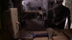 A man enters a garage, turns on a light and brushes past a spider on its web. Stock Footage