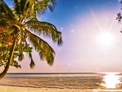 Holiday dream Stock Footage