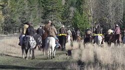 Large group of Cowboys heading off on a cattle drive Stock Footage