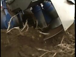 CU Potato harvester loosening soil and extracting potatoes Stock Footage