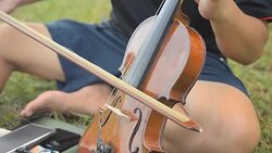 artist is playing a violin Stock Footage