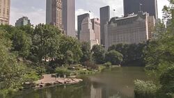 Central park in New York Stock Footage