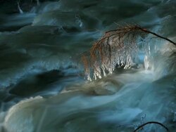 HD Winter River with Icy Branch (Loopable) (4:2:2@100 Mb/s) Stock Footage