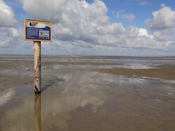 WS View of Wadden Sea and signboard, North Sea North Frisia / Westerhever, Schleswig Holstein, Germany Stock Footage
