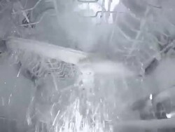 Dishwasher in operation Stock Footage