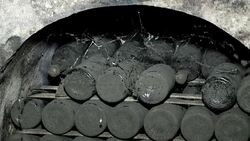 wine collection in the  spiderweb Stock Footage