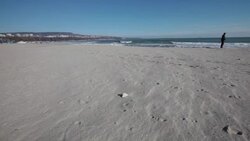 Lonely person walking on an empty beach Stock Footage