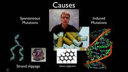 Mutations Instructional Video