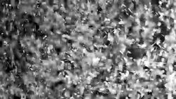 Particles Stock Footage
