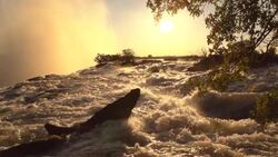 Victoria Falls Slow Motion Stock Footage