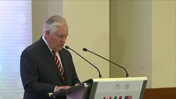 Tillerson Talks Russia, Immigration in Mexico News Clip