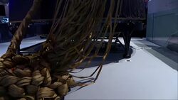 Astronaut Tim Peake Announces Second Space Mission News Clip