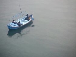Looking down on three men in a boat who get going early in the morning, clean teeth and set oars to row away.  India Stock Footage