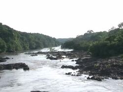 The view of the river and vegetation (Zoom in) Stock Footage