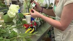 CLEAN : Orlando florists reach out to shooting victims families News Clip