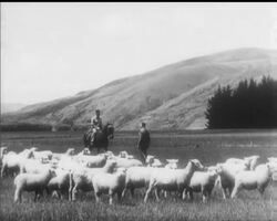 TWO NEW COMMONWEALTH PREMIERS News Clip