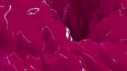 Liquid Exclusive Pink - Abstract Design or Art Element for Your Projects Stock Footage