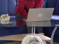 HD: Woman Neglecting A Dog Stock Footage