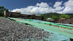 Fish drying racks drying a catch of small fish at Cape Maclear on the shores of Lake Malawi, Malawi, Africa. Stock Footage