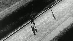 MONTAGE Home Guard and Civil Defense service, with bayonet practice, fire watchers, and land army harvesting / United Kingdom Stock Footage