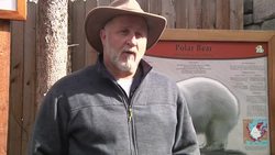 Alaska Zoo helps polar bear conservation efforts News Clip