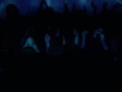 Strobe light at concert Stock Footage