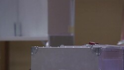 CLEAN : Tokyo votes to elect new governor after scandals News Clip