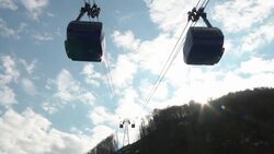 Frustration as fans queue for up to three hours to buy tickets News Clip