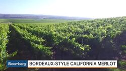 Twomey's New Take on a Classic Merlot News Clip