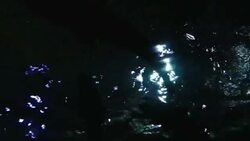 Donostia Aquarium San Sebastian Stock Footage