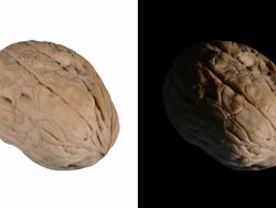 ALPHA: Isolated walnut Stock Footage
