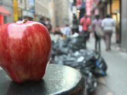 The Big Apple Stock Footage
