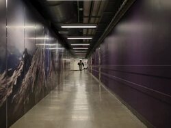 MS basketball eagle mascot running down hallway of basketball stadium with arms in air / Washington, USA Stock Footage
