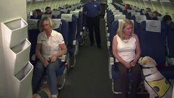The fear of flying course for jet-set dogs News Clip