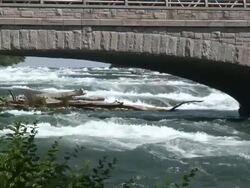 Niagara river 3-11: HD 1080/60i Stock Footage