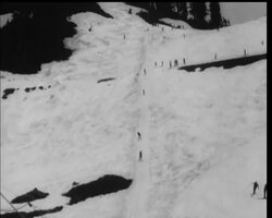 A SLUSHY ENDING News Clip