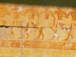 MS PAN Ancient carving on walls of Hatshepsut's temple, Deir el-Bahri at Valley of Kings / Luxor, Egypt Stock Footage