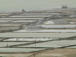 Water enclosures landscape Stock Footage