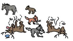 Why Don't Scavengers Get Sick? Instructional Video