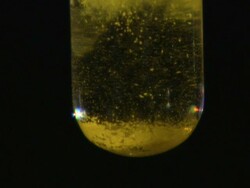 Lead (II) iodide precipitate, formed as potassium iodide is dripped into lead (II) nitrate solution Stock Footage