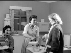 SCOTTISH DAIRY SHOW News Clip