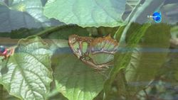 Latvia, Engures ezers nature park Instructional Video