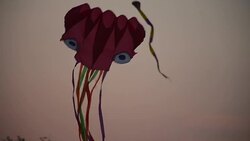 Kite shaped  octopus. Stock Footage
