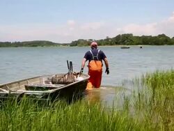WS DS Waterman Dragging Small Boat Out to Inlet / Oyster, Virginia, USA Stock Footage