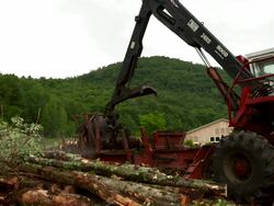 Wide shot of loader/slasher as saws a log, picks it up, and brings it to the foreground. Stock Footage