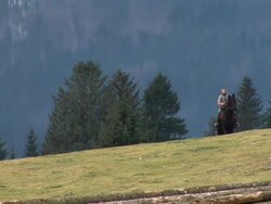 HD: Horseriding In Nature Stock Footage